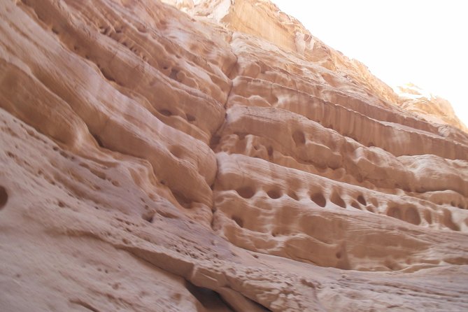 White Canyon 1-Day Camel Safari From Dahab - Experience Details