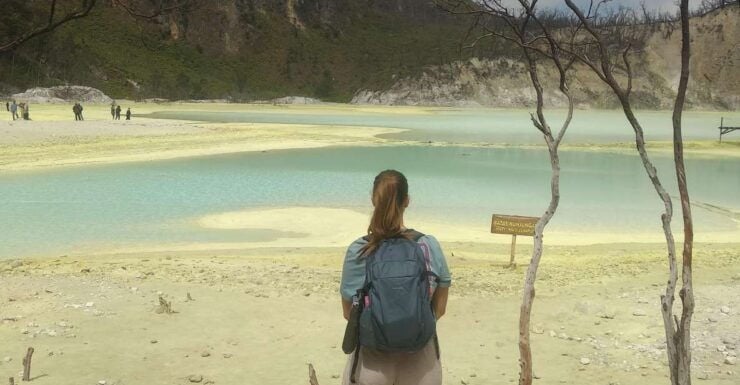 White Crater Tea Plantation Tour Guide Bandung - Highlights and Activities