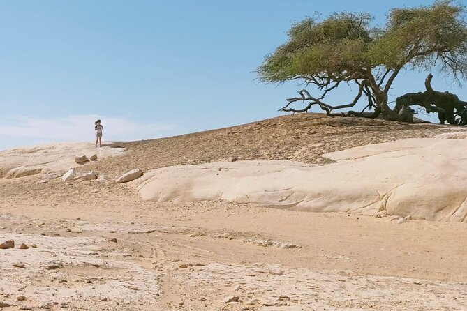 White Desert and Bahariya Oasis 2 Days Tour From Cairo - Cancellation Policy