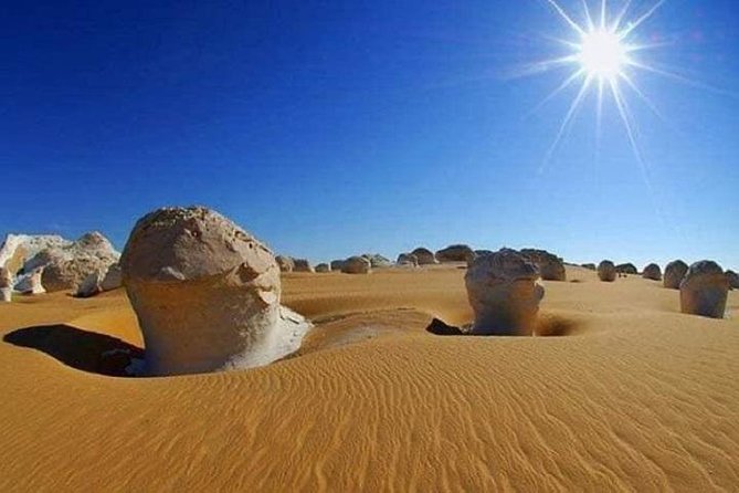 White Desert and Bahariya Oasis Tour From Cairo - Travel Logistics