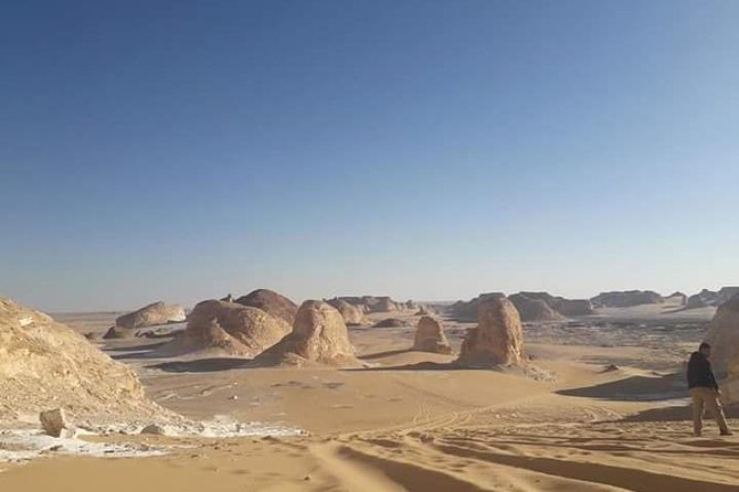 White Desert and Bahariya Oasis Tour From Cairo - Tour Highlights