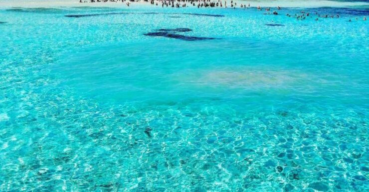 White Island & Ras Mohamed National Park Boat Trip - Activity Details