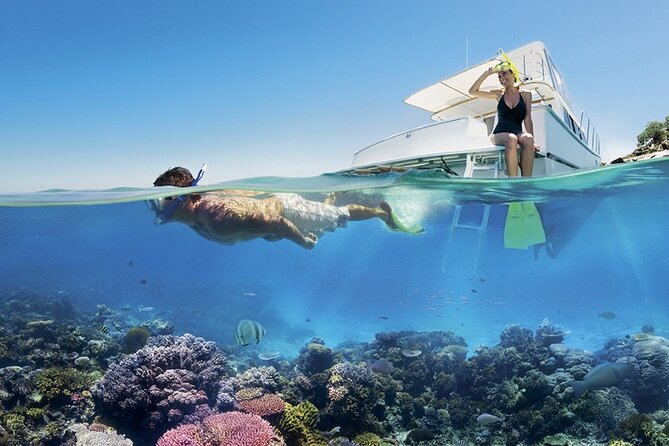 White Island & Ras Mohammed Day Trip From Sharm El Sheikh - Convenient Transfers and Pickup