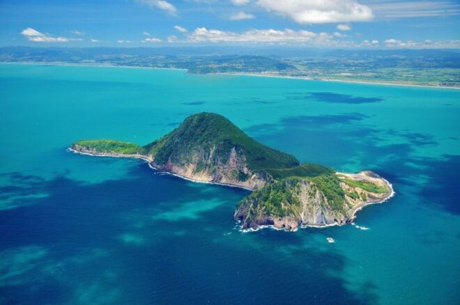 White Island & Whale Island 1-Hour Volcano Scenic Flight - Common Questions