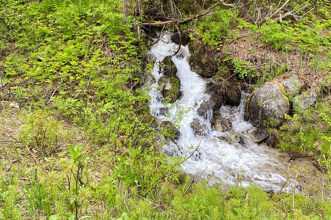 White Pass Deluxe Tour From Skagway - Traveler Photos and Reviews