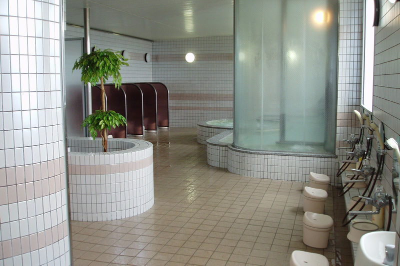 White PIA Takasu 1-DAY Lift Ticket & Round-Trip Bus from Nagoya - Optional bath and a possible second resort