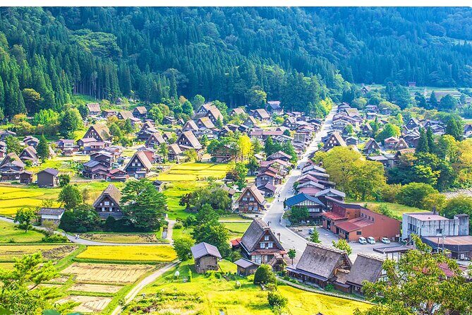 White Road Shirakawago Observatory Tour Package - Meeting Point and Start Time