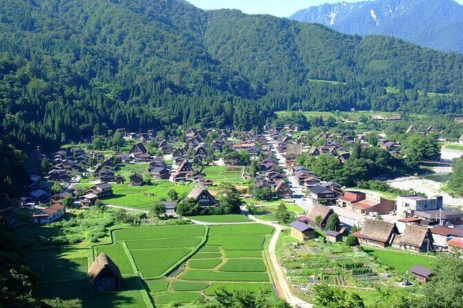 White Road Shirakawago Observatory Tour Package - Return to Nagoya