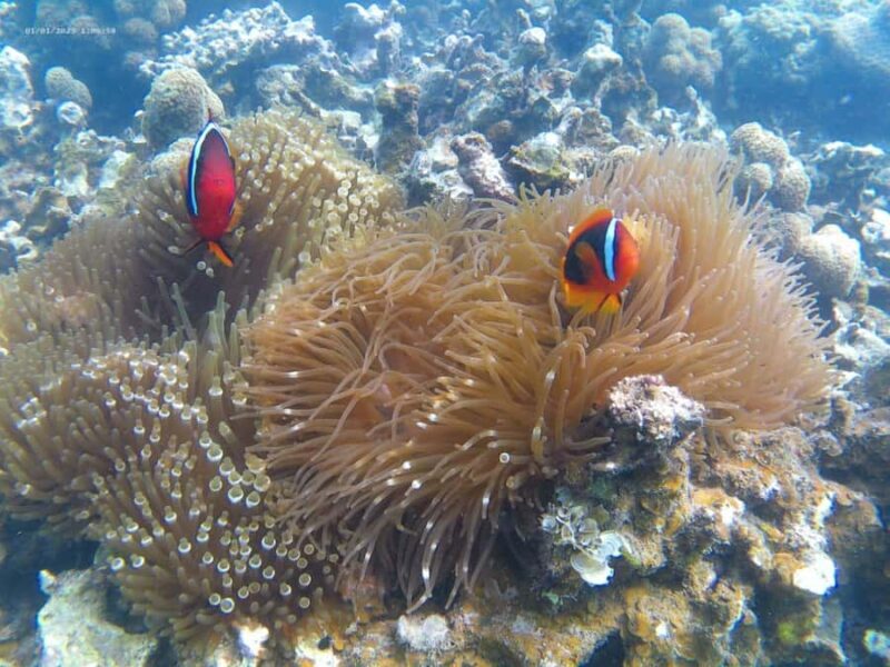 White Sand Island - Snorkeling and Kayaking - Who Would Love This Tour?
