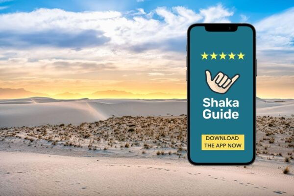 White Sands National Park: Audio Tour Guide - Guided Wildlife Spotting Tour