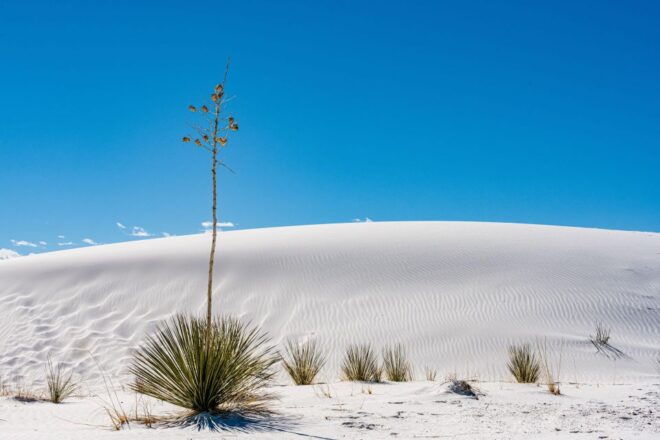 White Sands National Park: Audio Tour Guide - Inclusions and Features