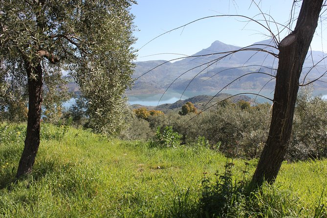 White Villages and Ronda Day Trip From Seville - Common Questions