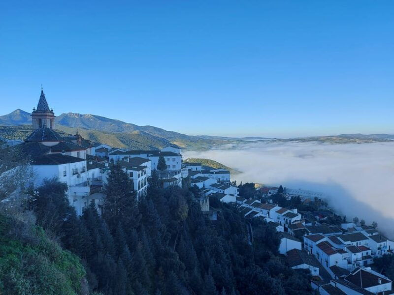 White Villages and Ronda: Day Trip From Seville - Itinerary and Highlights