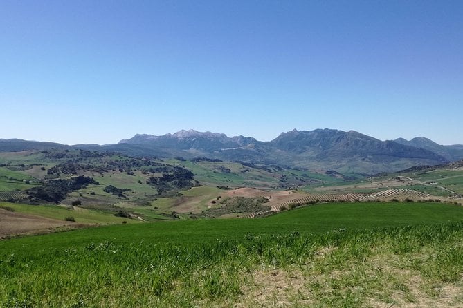 White Villages and Ronda Day Trip From Seville - Praise for the Tour Guide