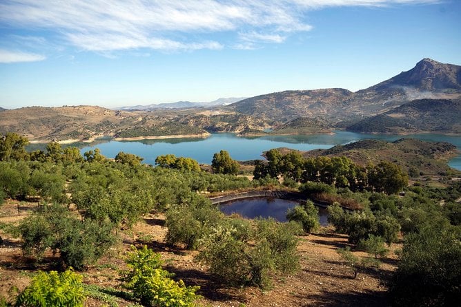 White Villages and Ronda Guided Day Tour From Seville - Admire the Natural Beauty of a Mediterranean Forest