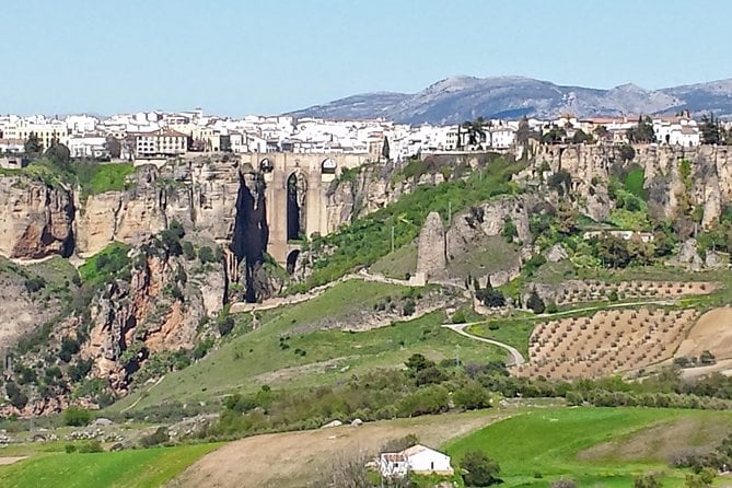 White Villages and Ronda Guided Day Tour From Seville - Experience the Iconic Puente Nuevo in Ronda