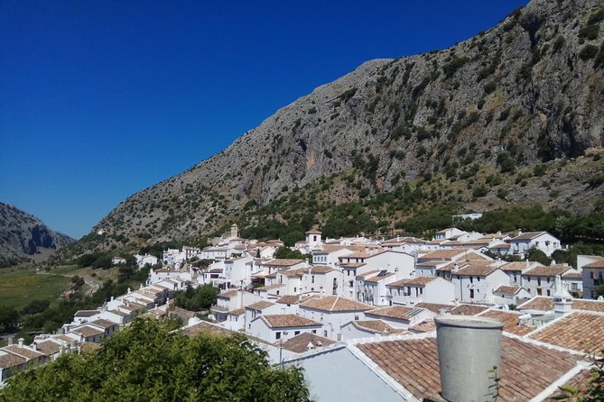 White Villages From Ronda - Immerse Yourself in the History of Olvera