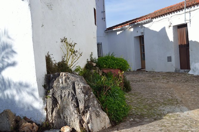 White Villages of Huelva Private Full Day Tour - Booking and Pricing Information