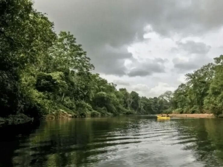 White Water Kayaking in Udugama - Activity Details