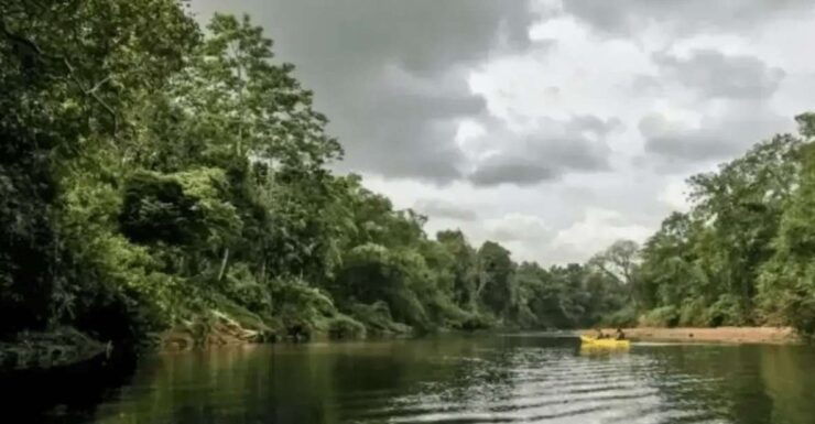 White Water Kayaking in Udugama - Booking Information
