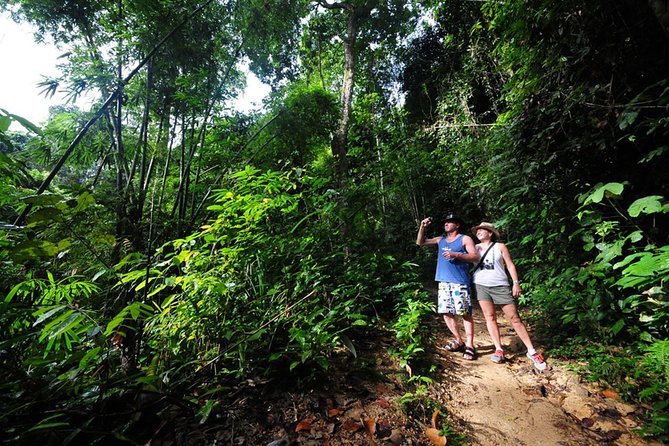 White Water Rafting 5 Km, Flying Fox and ATV Adventure - Overall Experience Rating