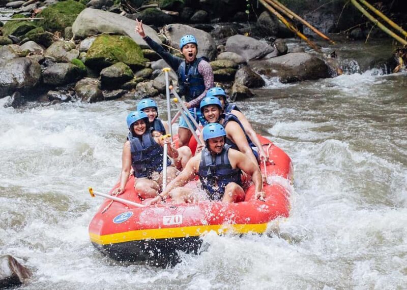 White Water Rafting Adventure on Ubud Ayung River - Insights from Reviews and What Travelers Say