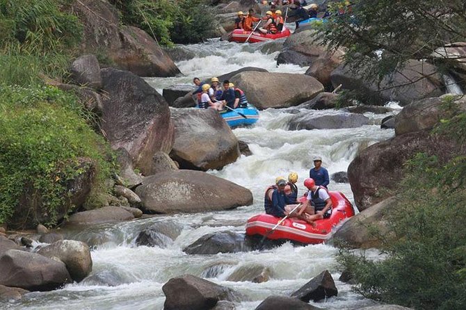 White Water Rafting Adventure Tour From Phuket - Reviews