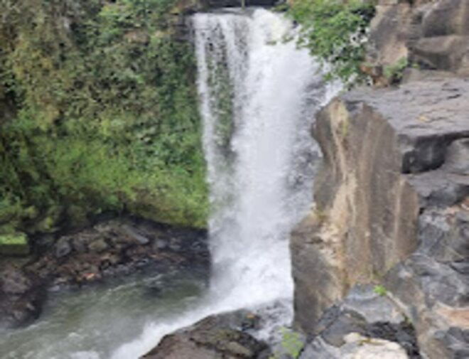 White Water Rafting and Waterfall - Coffee Plantation Tour Experience