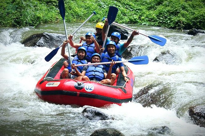 White Water Rafting - Ayung River - Additional Information