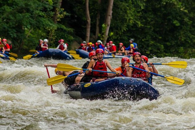 White Water Rafting Experience on the Upper Pigeon River - Pricing and Booking