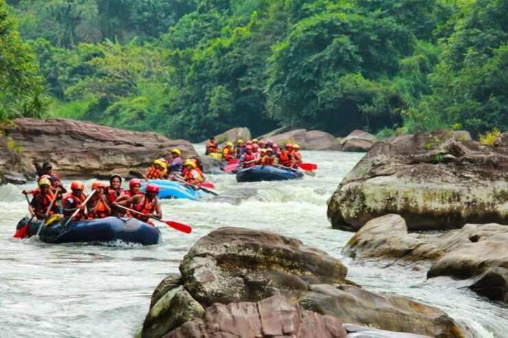 White Water Rafting in Kitulgala - Activity Details