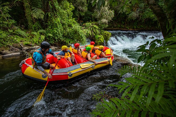 White Water Rafting - Kaituna Cascades, The Originals - Stunning Jungle Canyon: A Picturesque Setting for Adventure