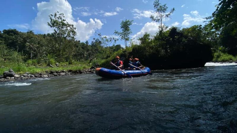 white water rafting telaga waja best of bali (no stairs) - Cost and Value