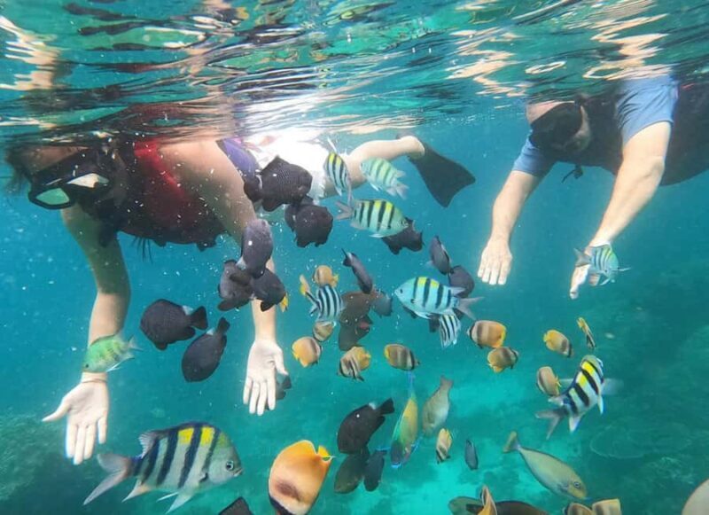 White Water Rafting with Blue Lagoon Snorkeling - The Sum Up