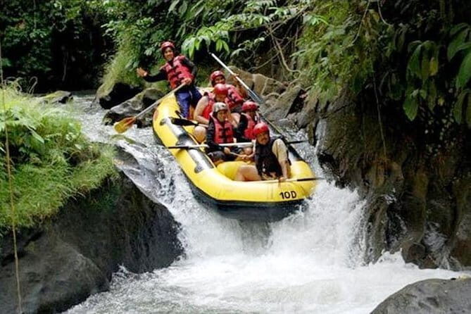 White Water Rafting with Ubud Tour - Authentic Insights from Reviewers