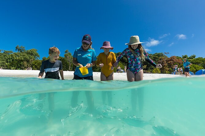 Whitehaven Beach and Hamilton Island Cruise - Start Time