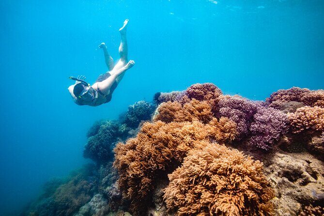 Whitehaven Beach and Hill Inlet Lookout Snorkeling Cruise - Introduction
