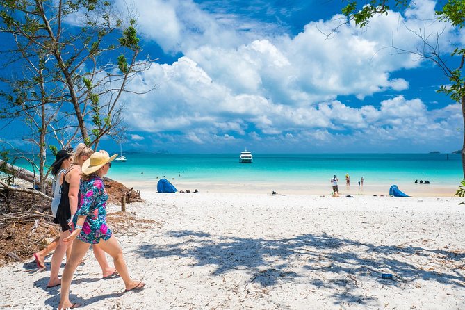Whitehaven Beach Half-Day Cruises - Customer Experiences and Host Responses