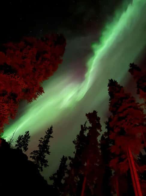 Whitehorse: Aurora Viewing with Wild Adventure Yukon - Good To Know