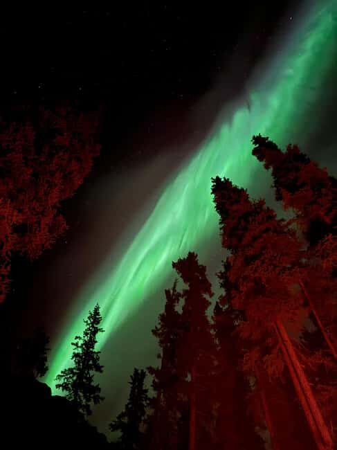 Whitehorse: Aurora Viewing with Wild Adventure Yukon - Who Should Consider This Tour?
