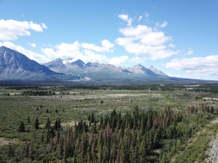 Whitehorse: Kluane National Park & Haines Junction Day Trip - Activity Details