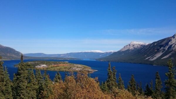 Whitehorse: Wild Tracks, in Search of Bears & Other Wildlife - No Guarantees