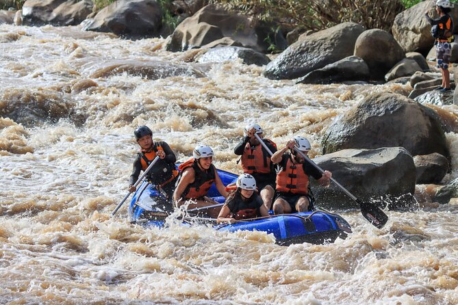 Whitewater Rafting 10km and Waterfall Trekking Tour From Chiang Mai - Tour Highlights