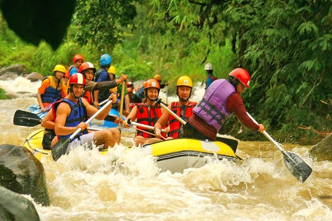 Whitewater Rafting 5 KM Only - What to Expect on the Whitewater Rafting Tour