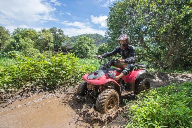 Whitewater Rafting and ATV Adventure - Exploring Vegetation and Wildlife