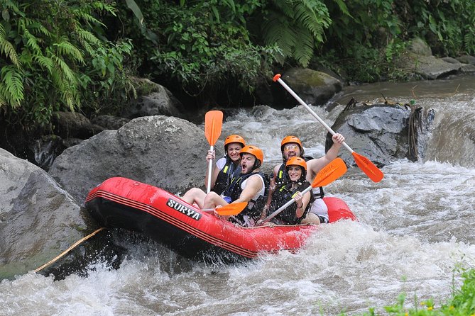 Whitewater Rafting Ayung River With Return Transfer in Ubud Bali - Tour Highlights