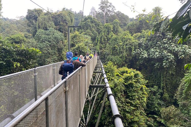 Whitewater Rafting & Tree Top Walk Sedim Riverside From Penang - Additional Info