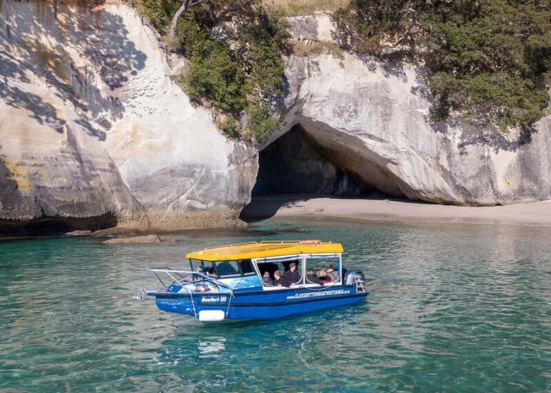 Whitianga: 2-Hour Glass Bottom Boat Cathedral Cove Tour - Good To Know  