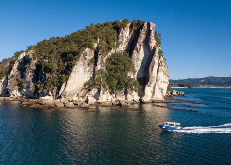 Whitianga: 2-Hour Glass Bottom Boat Cathedral Cove Tour - What Sets This Tour Apart?  