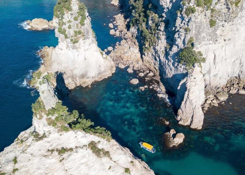 Whitianga: 2-Hour Glass Bottom Boat Cathedral Cove Tour - Who Will Enjoy This Tour?  